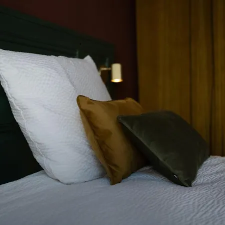Avec Garage - Le Boudoir Du Velay 公寓 *